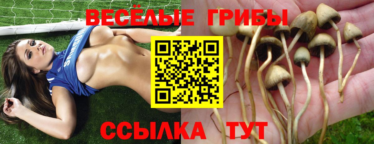 Псилоцибиновые грибы прущие грибы  Галлюциногенные грибы мухоморы  Вход с VPN  Бор 